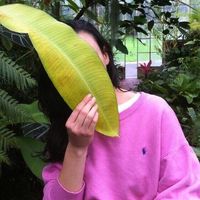 个性的qq欧美女生头像