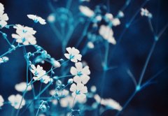 ˸˵˵飺ʲôʱܲ