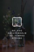 意境文字图片:我干杯你随意