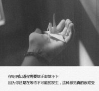 文字图片:迷入感情路