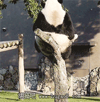 ɫ鶯̬ͼʮ:󼦰ͼƬ ɫŷŮ10pͼ
