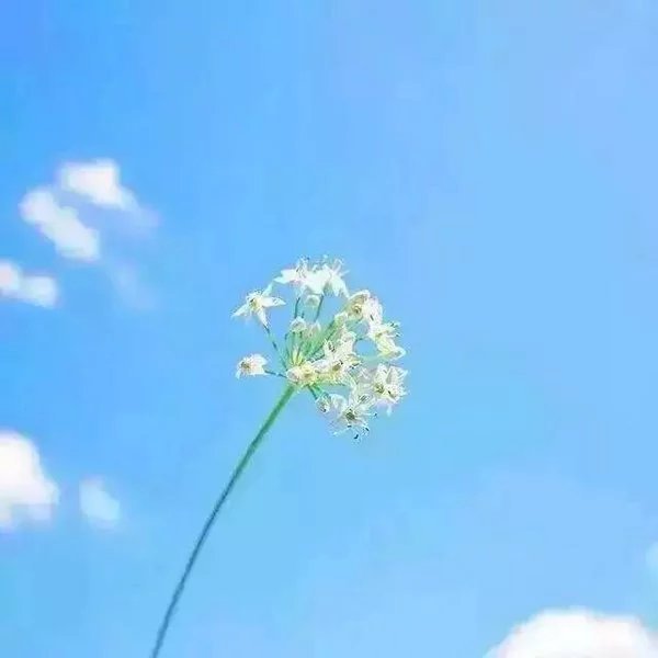分手后不要做朋友说说