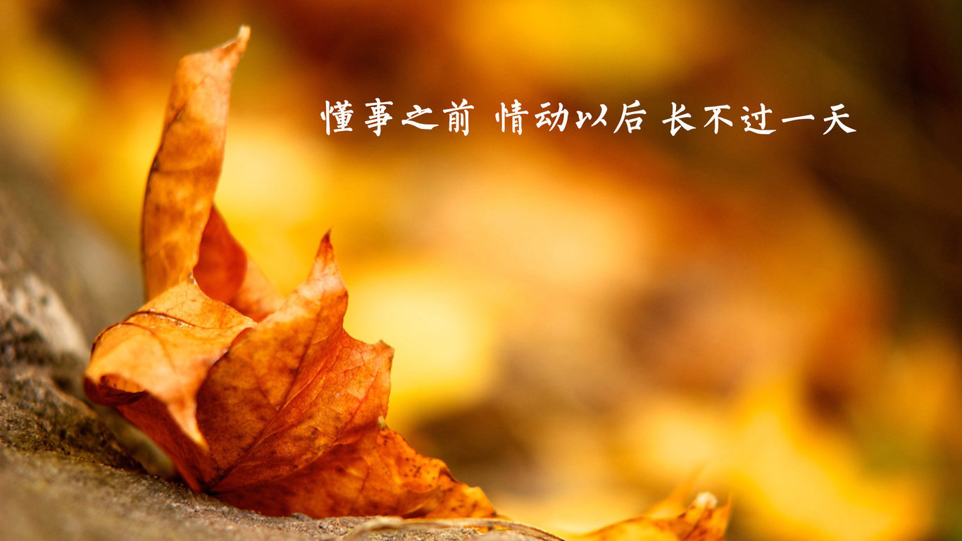 唯美感悟人生语录
