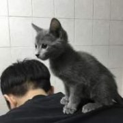 学长:我和我的猫都很想你