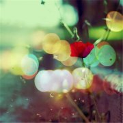 ˸Ů˵˵ŰԶ