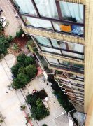 女子自家阳台赏雪 不慎从24楼坠落身亡