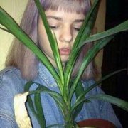 一波欧美女头 愿喜