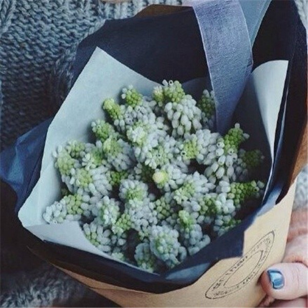 ˸Ů˵˵ȫΪĺ