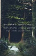 意境带字皮肤:经年°reminis