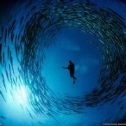 qq头像海里男生 阳光沙滩男生头像