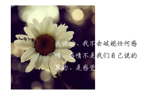 ֵͼƬǷҲ⾳ĸо
