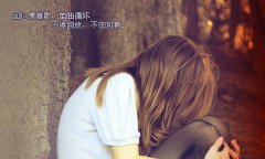 唯美的文字素材:你说的那句不弃不离