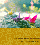 经典唯美文字素材图片:如果你对我没有爱