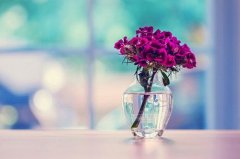 小清新优美图片:花开伊人醉