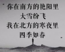 歌词情侣网名_我在北方的秋风里