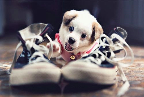 ϵﹷɰͼƬ