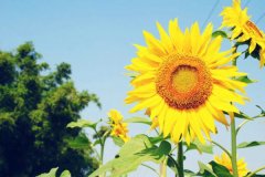 能让女人变漂亮的细节 优美文章