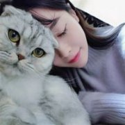 唯美我没有猫也没有你