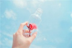 笑着仰望自己的天空 小清新风格静物美图