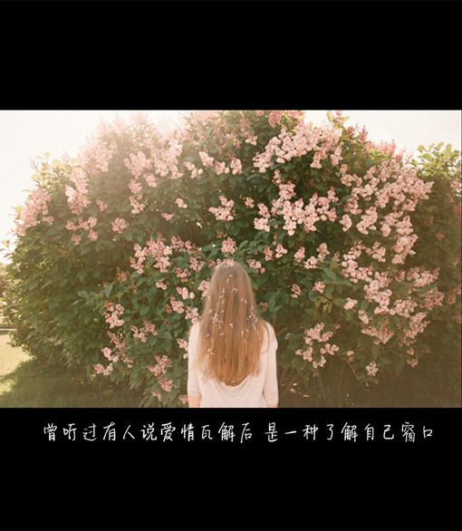 ˸ΨͼƬ˼ζ