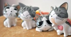 萌小奇,这只可爱小猫