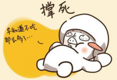 ڸЦںף˵˵ 2016ڶڵĸЦ˵˵