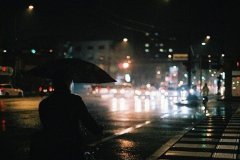 ˵˵ȫִǷݲ벻