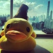 唯美木林森图片