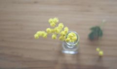 芳华刹那,若懂早惜 桌上的唯美瓶中花图片