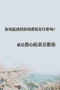 清新爱情文字图片