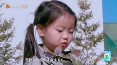 【董力崔雅涵图片】爸爸去哪儿阿拉蕾表白实习奶爸董力