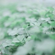 在我的世界里 清新唯美图片