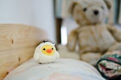 温暖有爱的轻松熊萌照 可爱熊熊图片系列