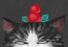 Ц˵˵ȫ2016° ʳǮ׻
