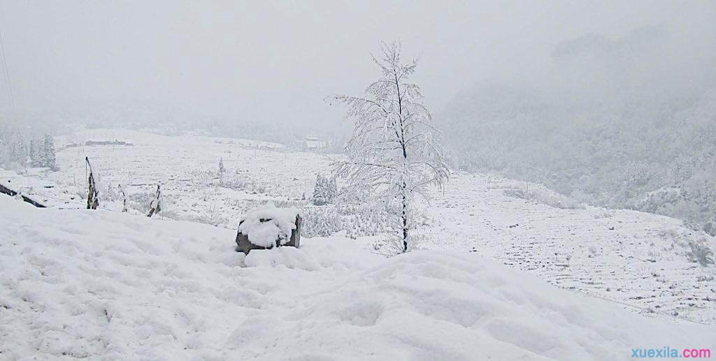 关于大雪的诗歌 描写大雪的现代诗