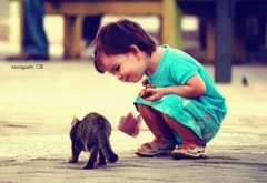 QQ˵˵˸пҵֻз