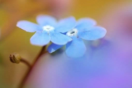 νµ ΨͼƬ
