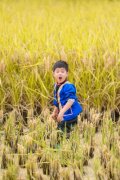 【爸爸去哪儿沙俊伯图片】爸爸去哪儿4安吉沙俊伯图片