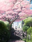 日本动漫卡通美少女图片 从一哭就有别人哄再到现在再苦也要忍着