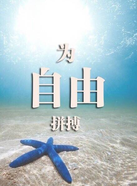 ֵ־羰Ƥָʢķ