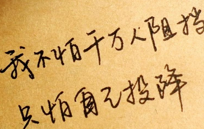 【人生哲理的文字图片】人生感悟的图片带文字