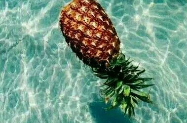 2016˸л¼ Ҳʧ֮ڷ