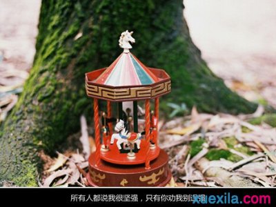 空间说说图片带字 QQ空间诗意说说带图片