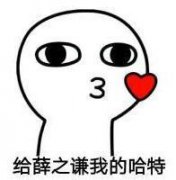 薛之谦迷妹专属表情包.