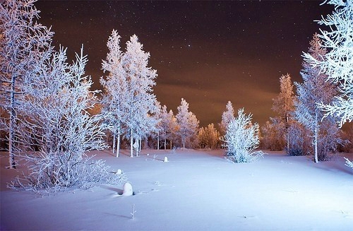 毫无预兆的下雪 唯美意境暴雪图片