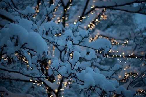 毫无预兆的下雪 唯美意境暴雪图片