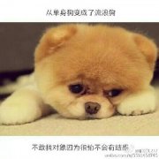 伤感唯美孤独一个人的带字图片 我已没了退路你确认输