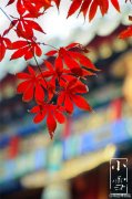 2016精选小雪节气梦幻意境图片 闭塞而成冬