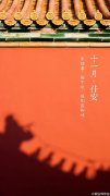十一月佳安唯美紫禁城图片大全 美的像幅画