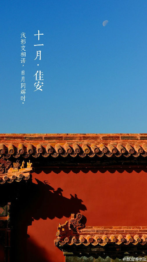 十一月佳安唯美紫禁城图片大全 美的像幅画